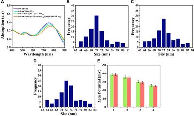 Frontiers | SERS Based Lateral Flow Assay for Rapid and